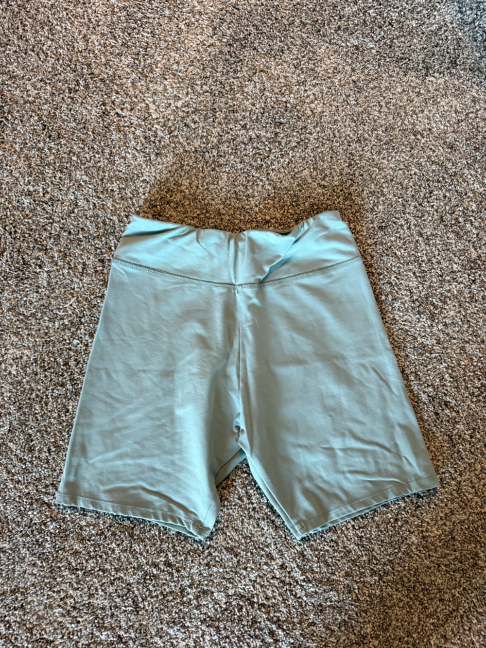 High-Waist Seamless Biker Shorts in Sage Green